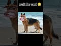 Dogesh bhaiya ki roasting 😂😂