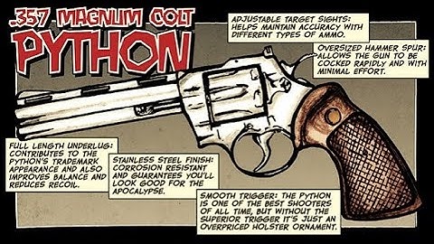 Colt Python unboxing and first firing!