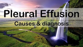 Pleural effusion: causes and diagnosis by Internal Medicine 12,214 views 5 years ago 10 minutes, 11 seconds