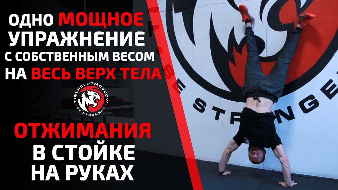 ОДНО УПРАЖНЕНИЕ ВЗОРВЕТ ВЕСЬ ВЕРХ ТЕЛА! БЕЗ ИНВЕНТАРЯ. КАК НАУЧИТЬСЯ ОТЖИМАНИЯ В СТОЙКЕ НА РУКАХ