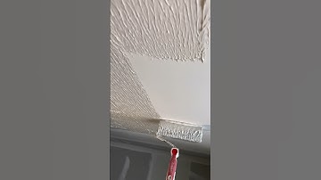 🍿 Ceiling removal with the LEVEL5 Compound Roller 👊