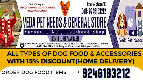 Video 6718801: snow white persian cat, persian cat show, persian cat dog, pets dog, pet food