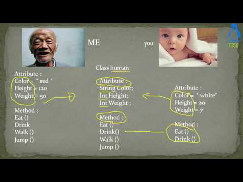 Java Object Oriented Programming 20 - Objects and Classes in Java 1