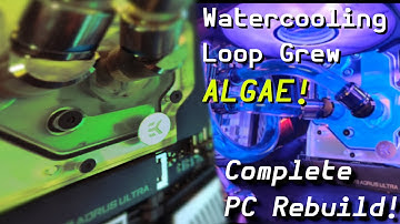 My Watercooling Loop Grew ALGAE - Complete PC Rebuild