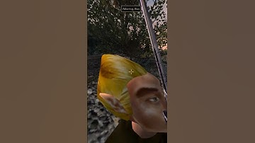 Killing the adoring fan in Morrowind every day until Skywind and Skyblivion are released Day - 329