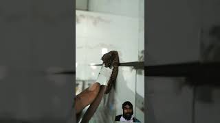 oxey tilesh grout golden wall grout #tiles #marvel #grenight