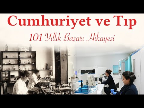 28 Ekim 2024