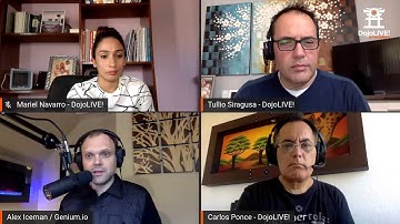 AI and Software: Exploring the Limits