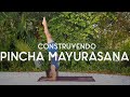 Pincha Mayurasana (Parado sobre antebrazos) | Asana Tips | Yoga con Baruc