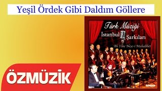 Yeşil Ördek Gibi Daldım Göllere - İstanbul Şarkıları 