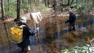 EcoBeneficial Interview: Vernal Pools with John Anderson of Aton Forest