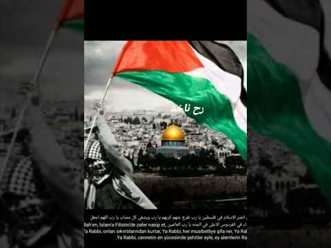 صبرا يا اهل غزه فان موعدكم الجنه ان شاء الله اللهم ينصر اهلنا في فلسطين يا رب العالمين❤❤❤❤❤❤❤❤❤❤