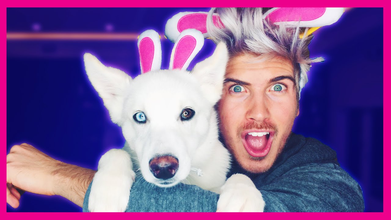 What Is Joey Graceffa S Dogs Name What Is Joey Graceffa S Dogs Name