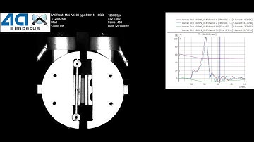 IMPETUS® - dynamic compression test of a foam using 4a impetus
