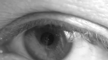 Panasonic FZ200 & Raynox DCR-250 Macro