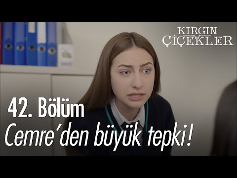 Cemre, Meral ve Eylül'e çok kızıyor - Kırgın Çiçekler 42. Bölüm