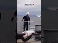 #navy #viral #shorts #video #viral #youtubeshorts #viral #shortvideo #viral #trendingshorts #viral