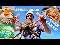SPIDER CRAB ! Catch and Cook ! Making Crab Cakes , UNDERWATER FOOTAGE ! Conger , Lobster and more !