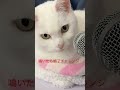 When it rings, the recording is finished. 鳴いたらレコーディングやめます