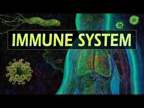 Introduction to Immunology - YouTube