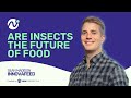 Are insects the future of food podcast with innovafeed