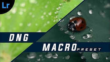 Macro lightroom DNG Preset | trending on Instagram