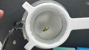 Anodizing titanium abutments in house