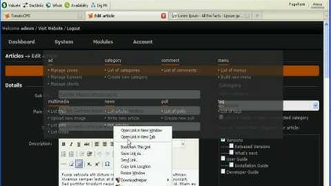 CreateNewArticle.flv