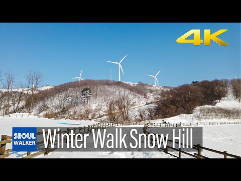 [4K] Winter Walk in a Snow Hill 대관령 목장의 아름다운 설경 걷기 워킹 大関嶺 musim dingin turun