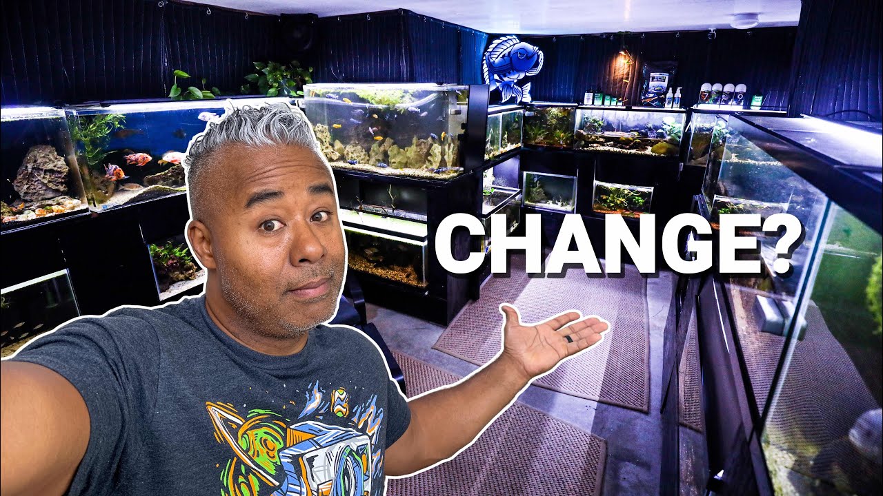 Am I BORED with My Aquariums?