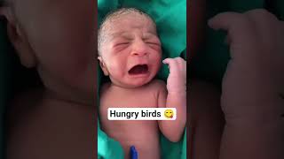 hungry boy #hungry #newbornbaby #newborn #viralvideo #shortvideo #shorts #youtube #cute #baby #nicu