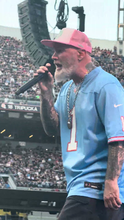 Limp Bizkit- Break Stuff- Live in Denver (6/27/25) #concert #livemusic #metal #limpbizkit