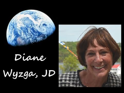 One World in a New World with Diane Wyzga, JD - Story Strategizer