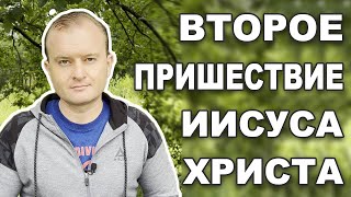 ПРИЗНАКИ ВТОРОГО ПРИШЕСТВИЯ ИИСУСА ХРИСТА. ИИСУС, КОГДА ЭТО БУДЕТ?!  (Матфея 24 гл.)