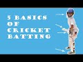 Cricket batting basics  5 basics of cricket batting for beginners  cricket coaching for kids