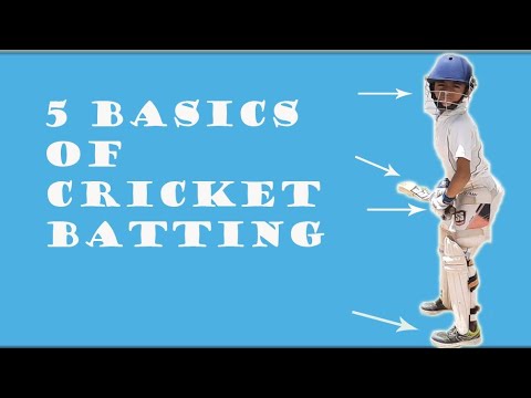 Cricket batting basics | 5 basics of cricket batting for beginners | cricket coaching for kids