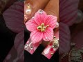 Pink luxury 3d floral gold turtle presson nails #nails #nailart #pressonnails