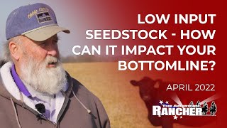 Low Input Seedstock  How Can It Impact Your Bottomline? | The American Rancher