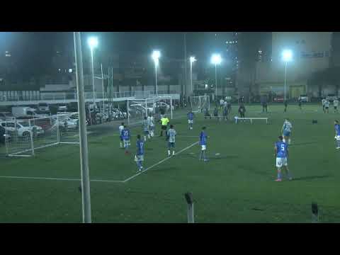 2 TP REAL MOLEKES 3X5 REDBULL