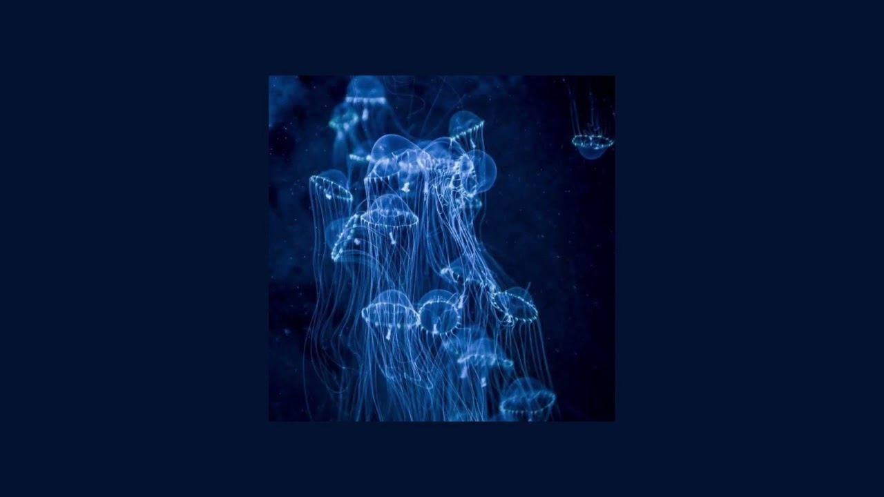 End Of Beginning by Djo (sped up + nightcore)