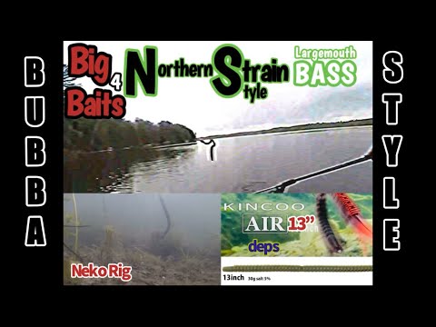 Big Worm Largemouth Bass Fishing Neko Rig 13” Deps Kincoo Air Worm. underwater footage