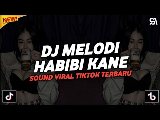 DJ MELODI HABIBI VIRAL TIKTOK TERBARU FEXD RMX class=