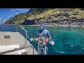 6 Days Snorkeling and Sailing the Azores