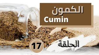 الفوائد الصحية للكمون و منافع شرب الكمون