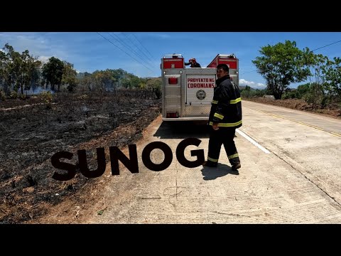 SUNOG SA PALAWAN  MUNTIKAN NA MASUNOG ANG BAHAY KUBO