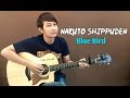 Ikimono Gakari Blue Bird Naruto Shippuden Nathan Fingerstyle Guitar Cover OST Theme Song