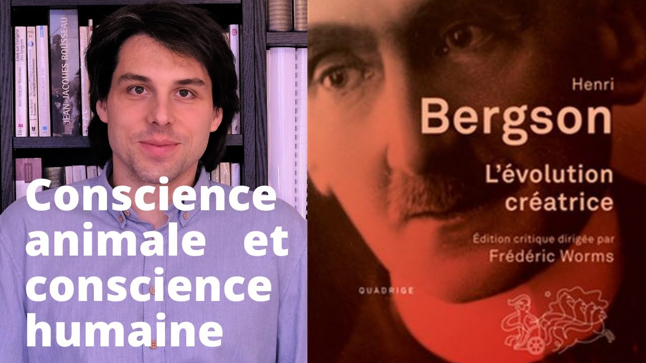 BERGSON - Conscience animale et conscience humaine (Evolution créatrice