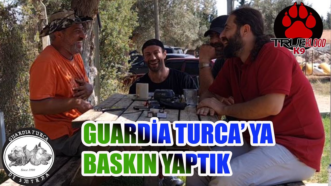 GUARDİA TURCA KÖPEK ÇİTLİĞİNE BASKIN YAPTIK - KÖPEKÇİLER TOPLANTISI @guardiaturca