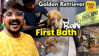 First Bath For Our Dog | Golden Retriever | Chennai Pet Shop | Tamil Vlogs | Tuberbasss
