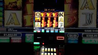 The Wild Life slot machine HUGE WIN BONUS!!! 3 LOCKED WILD REELS screenshot 4